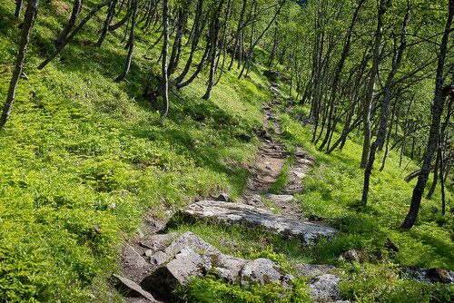 summer norway landscape lapland daytime footpath norja polku storfjord steindalen steindalsbreen annekaihola