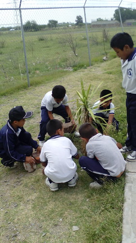 mejorando el medio ambiente