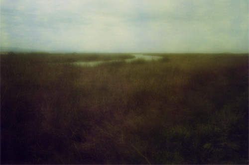2005 topv111 landscape polaroid pinhole ethereal alviso zoneplate type79 colorlandscapes sfchronicle96hrs californiaimpressions