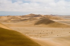 View From Dune 7