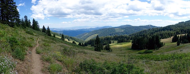 Panoramic meadow