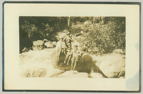 Five, out sitting on a rock