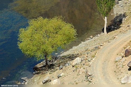 trees pakistan lake water canon landscape geotagged rocks sigma tags location elements vegetation tele closeups ghizer phundar gilgitbaltistan canoneos650d sigma150500mmf563apodgoshsm imranshah gilgit2