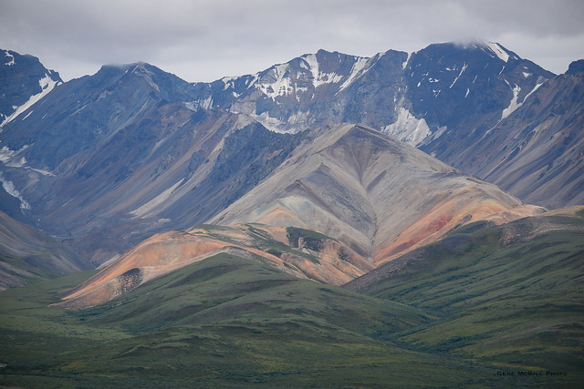 Alaska Range near Polychrome Pass