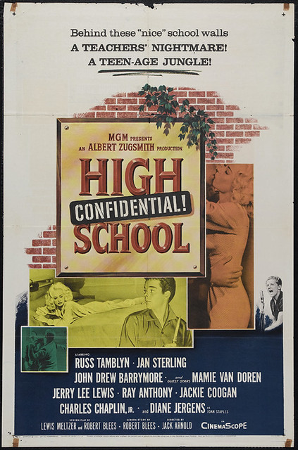 High-School-Confidential