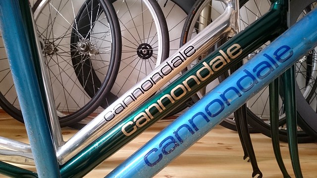 Cannondale Track