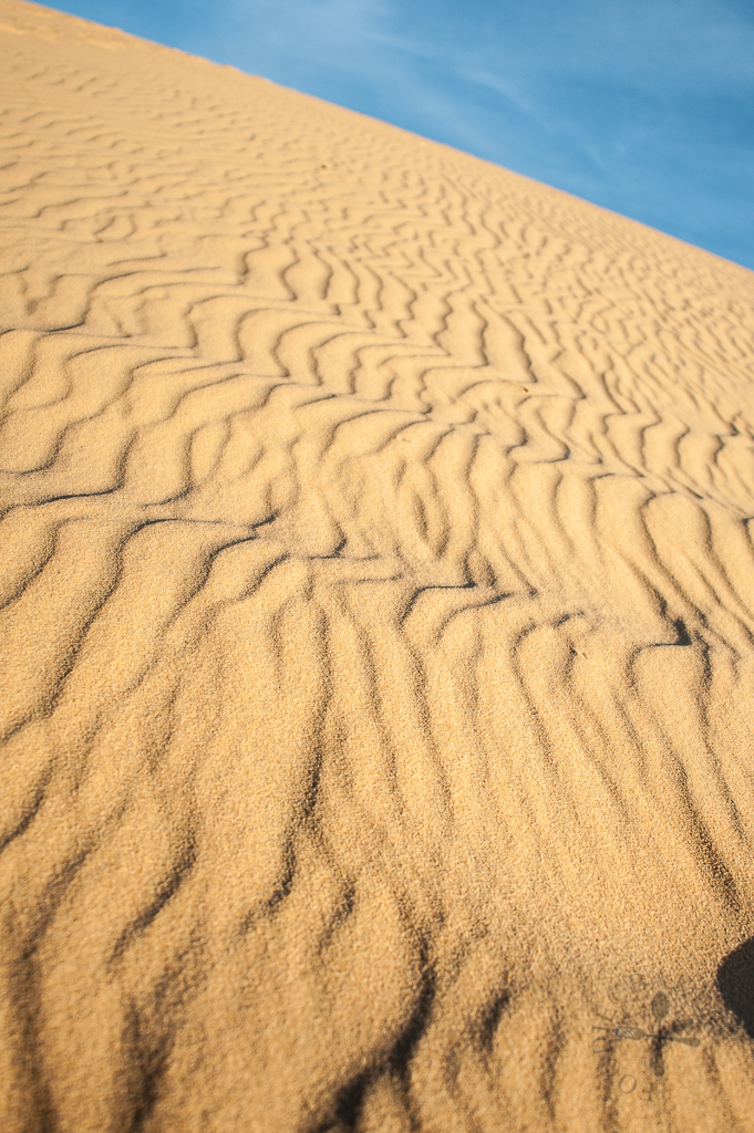 White Sand Dunes, Mui Ne, Vietnam