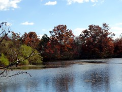 Wantagh - Twin Lakes Preserve - Autumn (63)