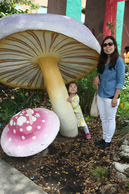 Mushrooms at Fairyland