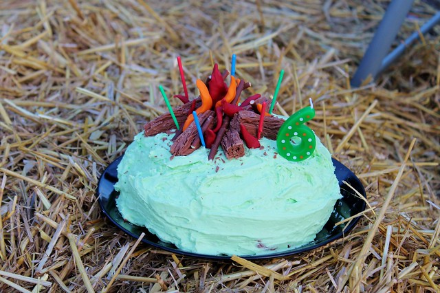 sixth birthday camping party campfire cake