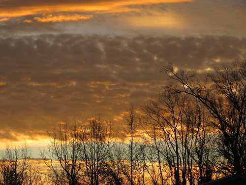 lumberton nc northcarolina robesoncounty sunrise tree trees silhouette morning goodmorning morningsky orange blue sky clouds nature