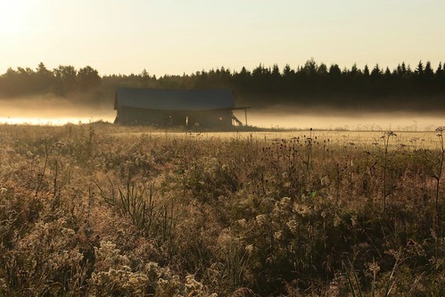 morning mist fog landscape maisema usva sumu aamu aamuaurinko