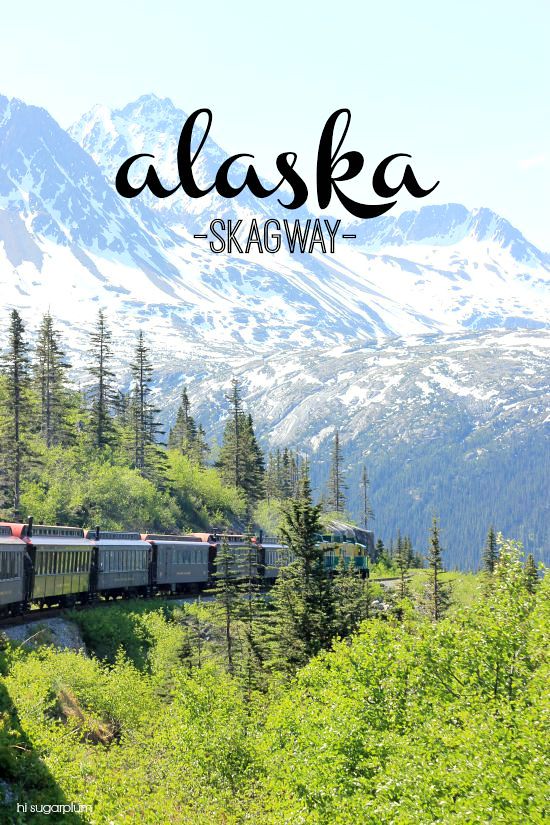 Hi Sugarplum | Trip Report: Skagway, Alaska