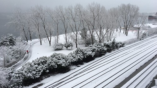 seattle snow pcc dlunused myrtleedwardspark