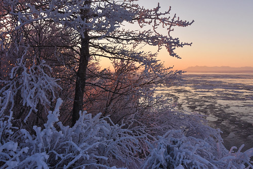 sunset winter anchoragewinter anchoragealaska alaska frost sunsetfrost frostsunset wintersunset anchoragesunset anchoragealaskatrails paxsonwoelber