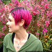 profile of pink hair amidst the pink flowers   dscf5253