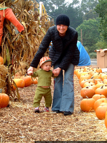 nick learning to walk in the pumpkin patch   dscf6663