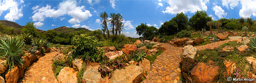 panorama movie southafrica nikon martin d70 360 panoramic fisheye 105 habitat stitched vr quicktime qtvr dx 105mmf28gfisheye asclepiad nikonstunninggallery heigan stapelias wsnbg mhsetlandscapes