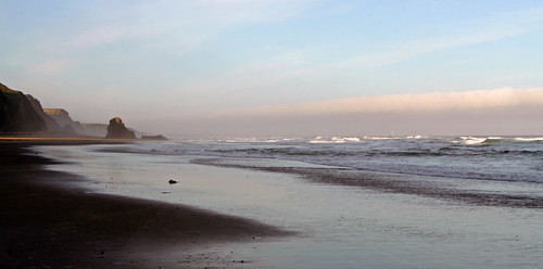 ocean california beach mendocino