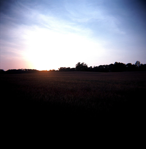 sunset field grain