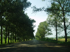 Comrat, Moldova