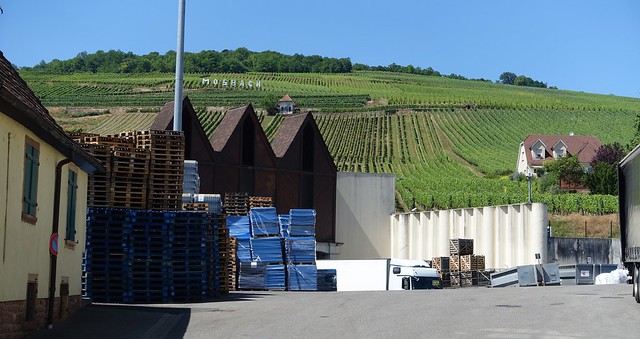 Les Vins d'Alsace
