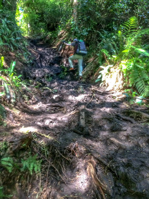 This muddy section was particularly spectacular