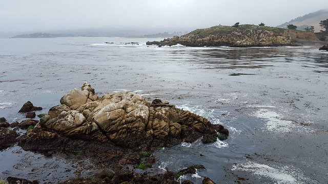 Whalers Cove, Point
Lobos