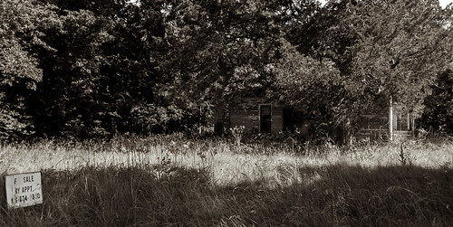 trees monochrome grass sign sepia neglect shadows abandonedhouse peelingpaint deterioration unpaintedwood