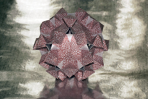 Origami Coralberry (Denver Lawson)
