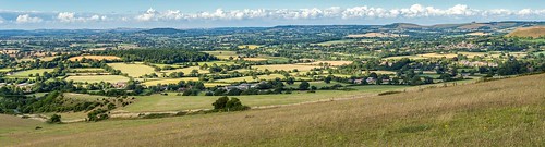 Blackmore Vale Panorama