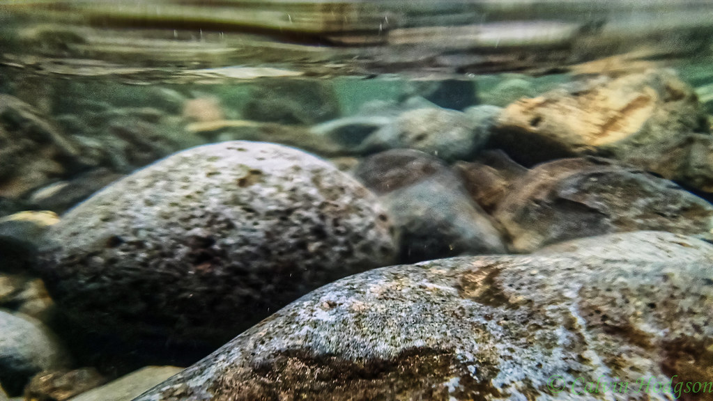 Underwater rocks at Oneonta Gorge