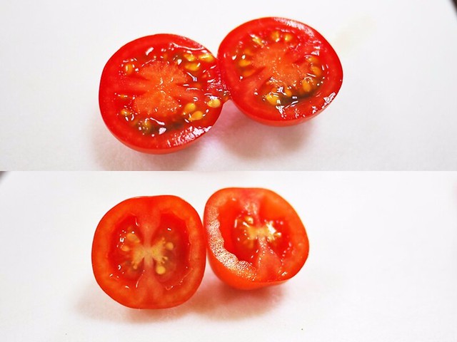 番茄方舟 ARK Tomato 玻璃溫室農場 無毒種植 天使串番茄 202