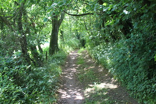 Hillhead, Coleton Fishacre (NT) & Kingswear 012