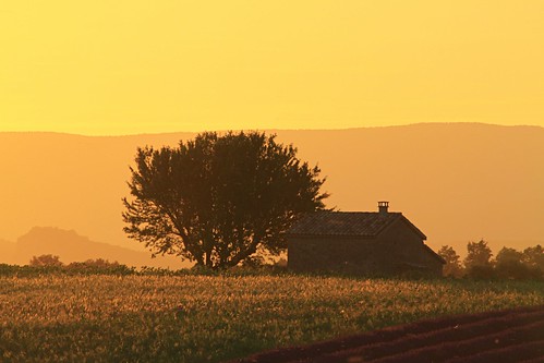 sunset france yellow canon landscape explore 7d provence levende lavendel fotoroar