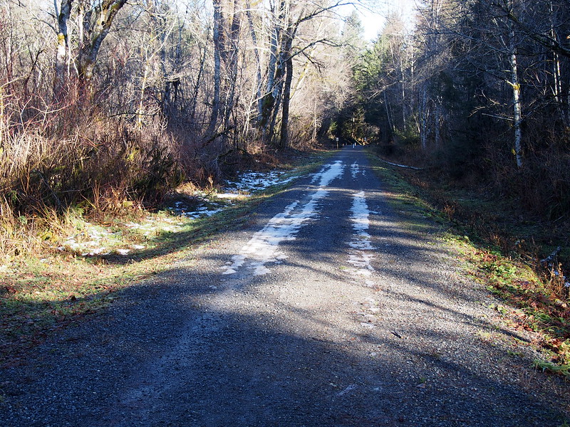 Snow on Upper Snoqualmie Valley Trail
