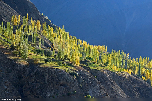trees pakistan canon landscape geotagged tags location elements vegetation greenery tele hunza gilgitbaltistan canoneos650d imranshah gilgit2