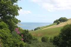 Hillhead, Coleton Fishacre (NT) & Kingswear 014