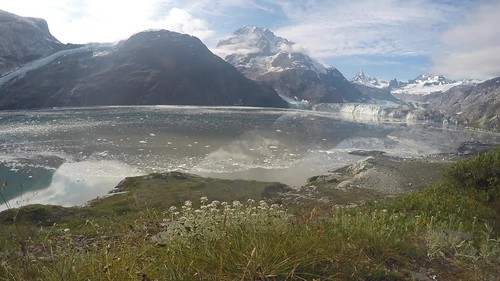 ice alaska nationalpark timelapse video glacier johns hopkins glacierbay glacierbaynationalpark johnshopkinsinlet johnshopkinsglacier