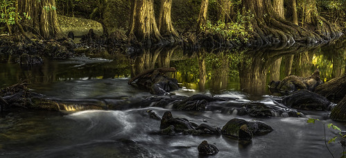 creek stream water boerne cibolocreek sunrise olympus