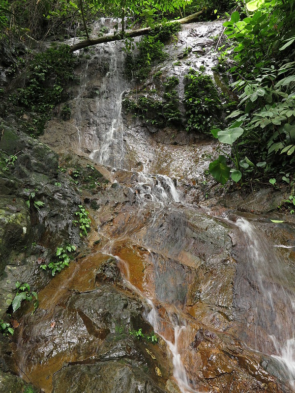 Северная Суматра: Bukit Lawang, mt Sibayak, mt Kemiri, Pulao Weh (май-июнь 2015)