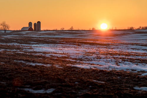 mannsiding dawn winter canoneos5dmarkiv farm campo invierno