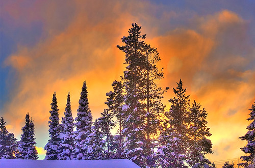 landscape sunrise hdr westyellowstone winter trees snow canoneos40d