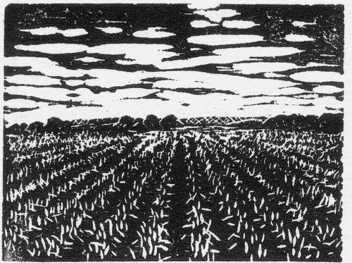 field ink print landscape milo kansas linoleum ©allrightsreserved floweralice