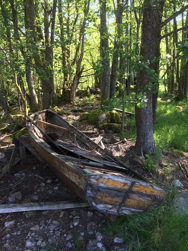 old trees abandoned norway boat decay oc båt trær sirdal gammel værbitt haughom sirdalsvatn maritimeimpression