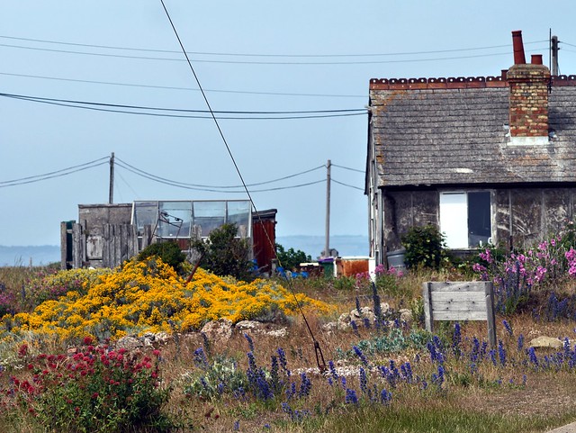 Dungeness Cottage