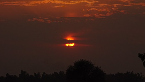 sunset red sky orange sun sunlight india tree nature silhouette clouds photography scenery flickr colours village view indian sony hide seek punjab sunrays naturephotography sonydschx400v ricktoor
