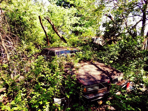 abandoned car illinois buick rust treasure buried decay hidden forgotten discarded ruraldecay abandonedfarm illinoisabandonment