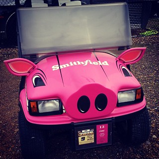 You know you're at @nhms when.... #nascar #nhms #golfcart #pig #letsrace