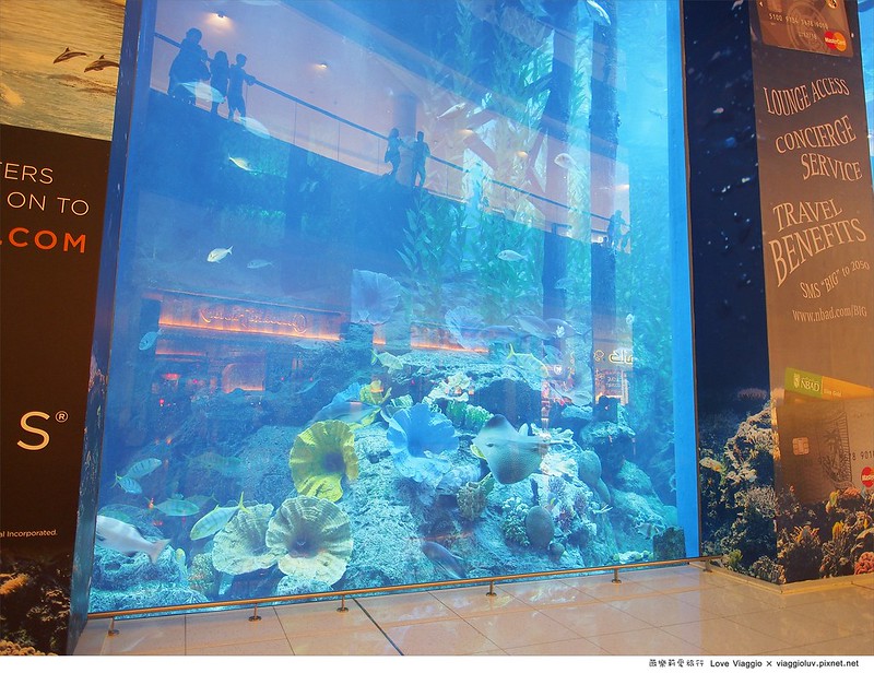 【杜拜 Dubai】The Dubai Mall &#038; Aquarium杜拜購物中心及世界最大室內水族館 @薇樂莉 Love Viaggio | 旅行.生活.攝影